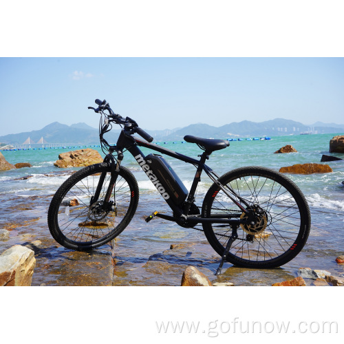 Long range motor 36V 350W electric mountain bike